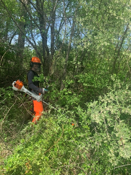 Crew training at Oak Orchard WMA, 2022.