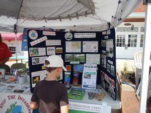 WNY PRISM and NYS DEC display at the 2015 Canal Fest of the Tonawandas. photo credit WNY PRISM