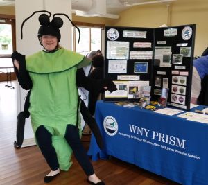 Project Manager, Lucy Nuessle, donned the EAB Costume for WNY PRISM at the 2017 Tifft Insectival. Photo Credit: WNY PRISM.