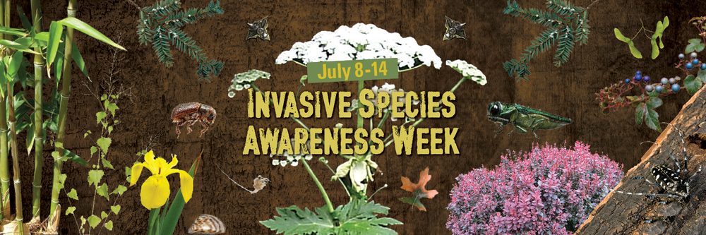 2018 Invasive Species Awareness Week