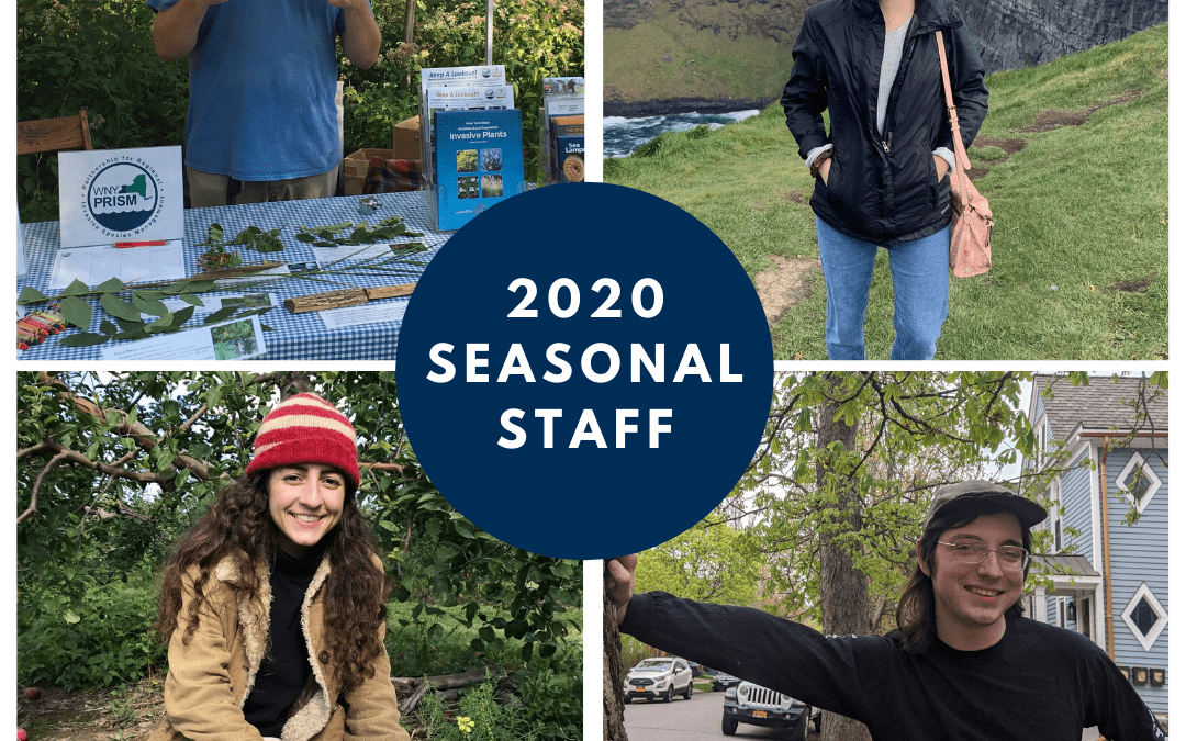 Welcome to our 2020 Seasonal Crew