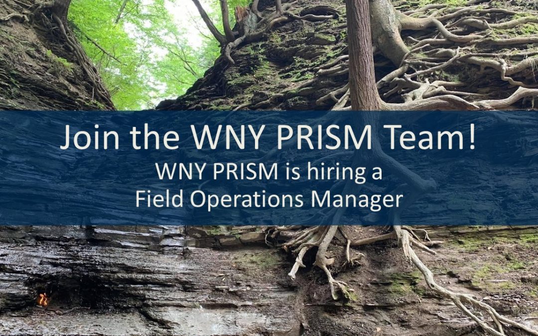 Now Hiring: Field Operations Manager