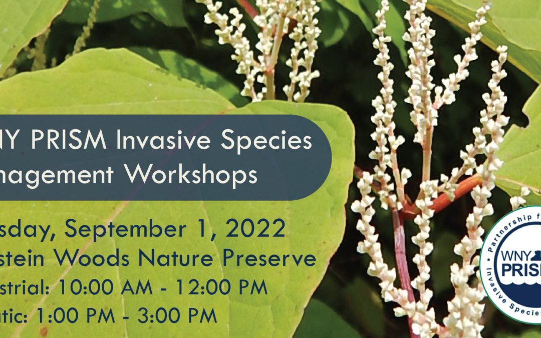 Invasive Species Management Workshops