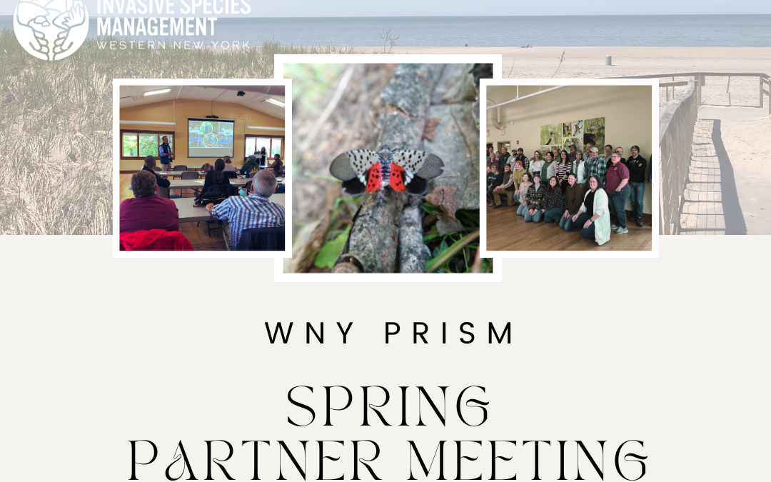 Spring 2024 Partner Meeting