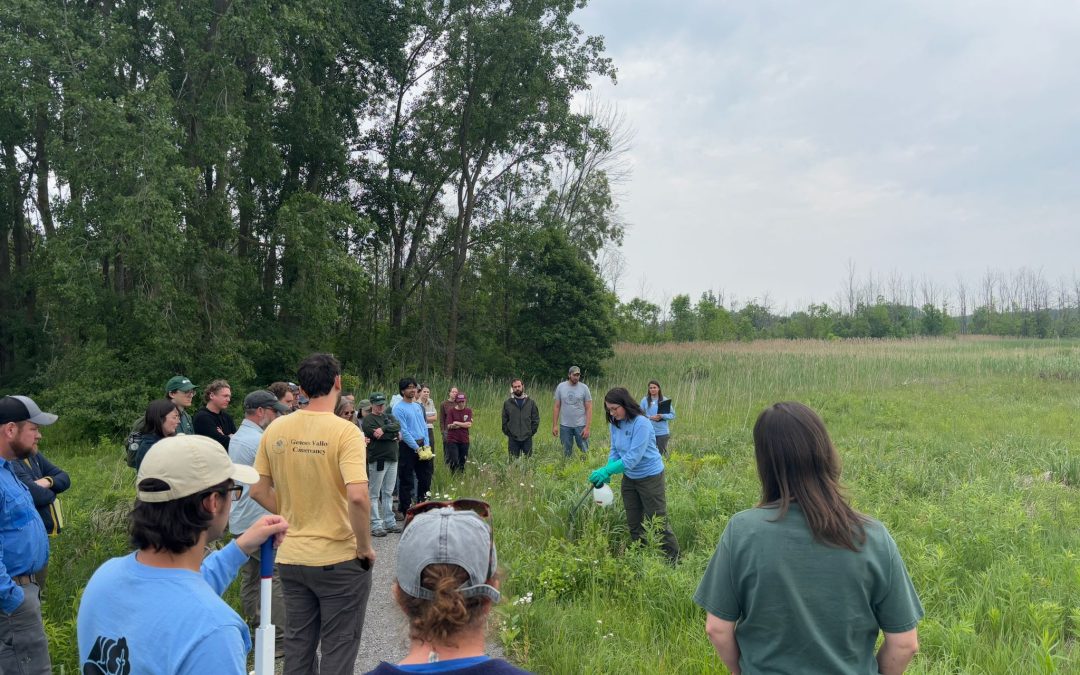 Now Hiring: Terrestrial Invasive Species Program Manager