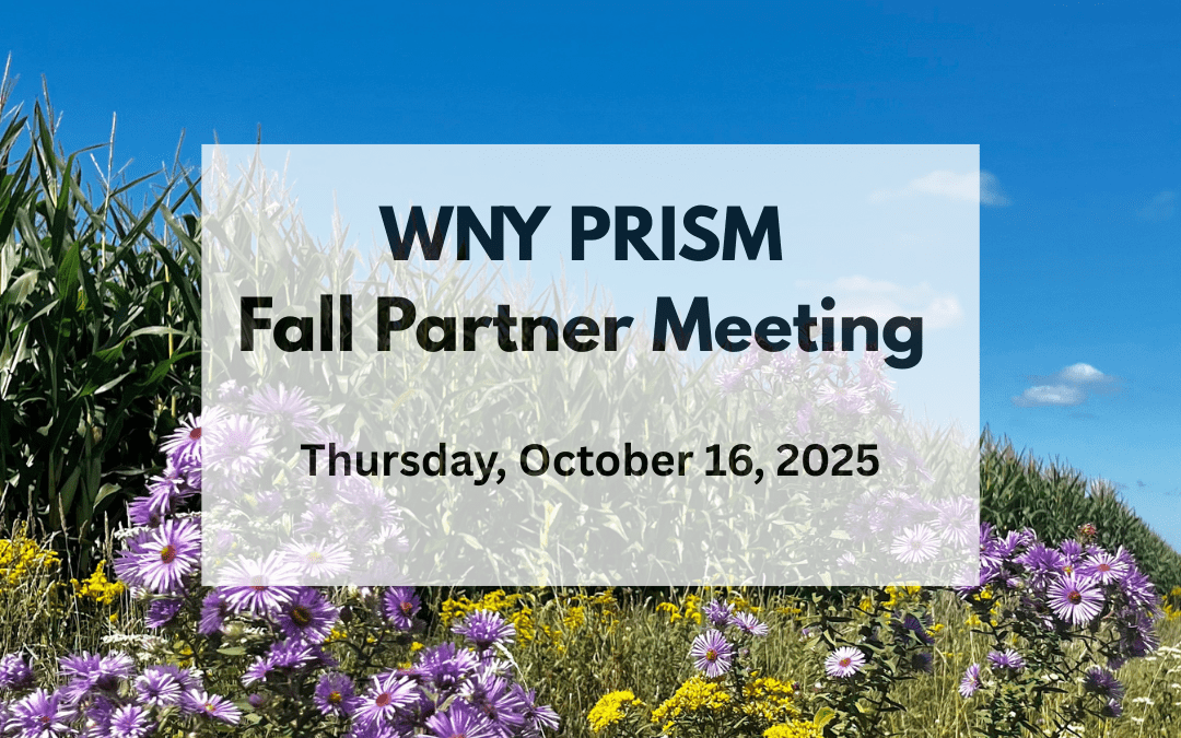 2025 Fall Partner Meeting