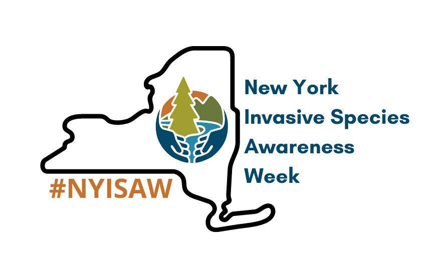 New York Invasive Species Awareness Week 2026